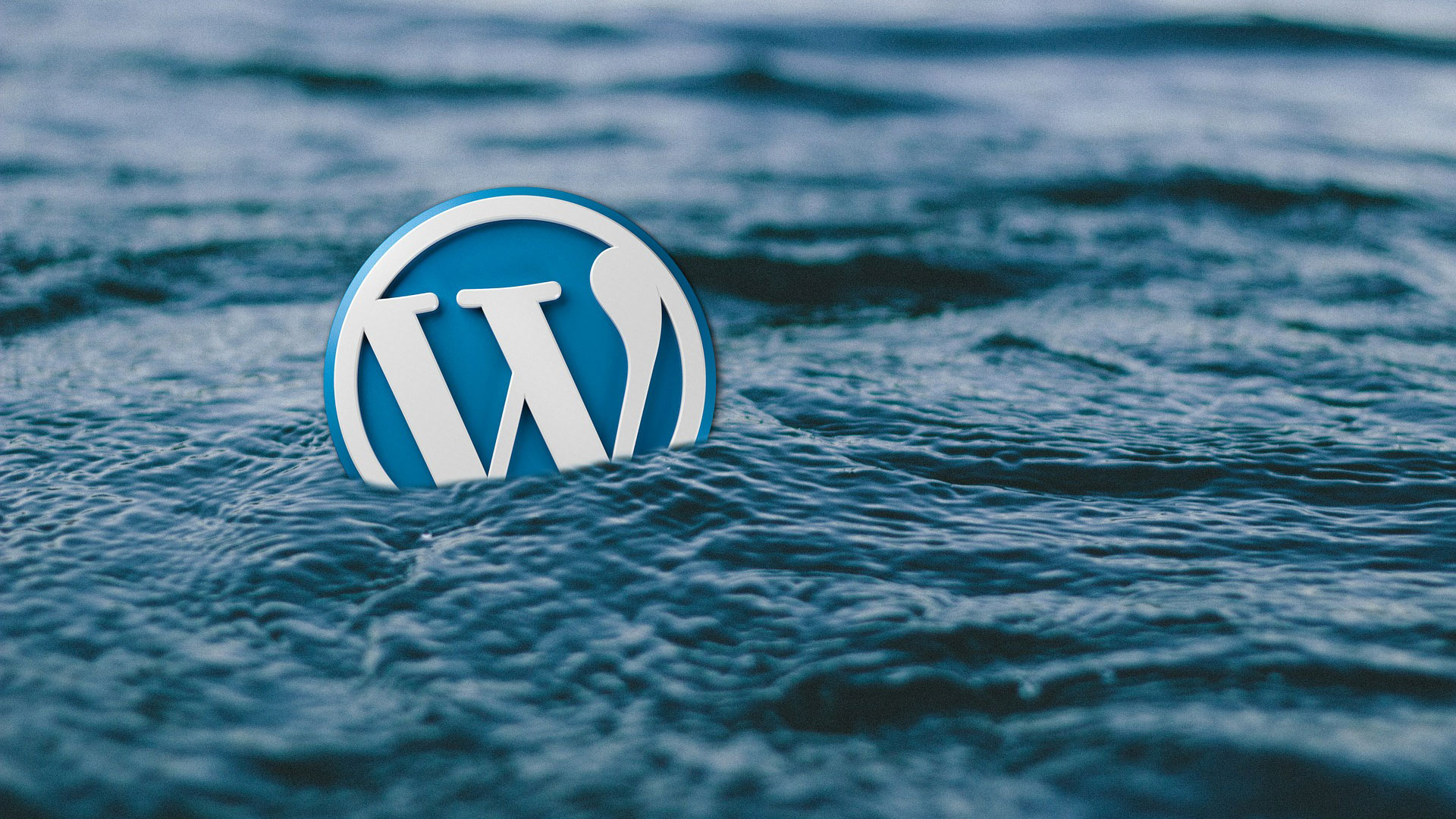 Know How to use WP_Query in WordPress (Ultimate Guide)